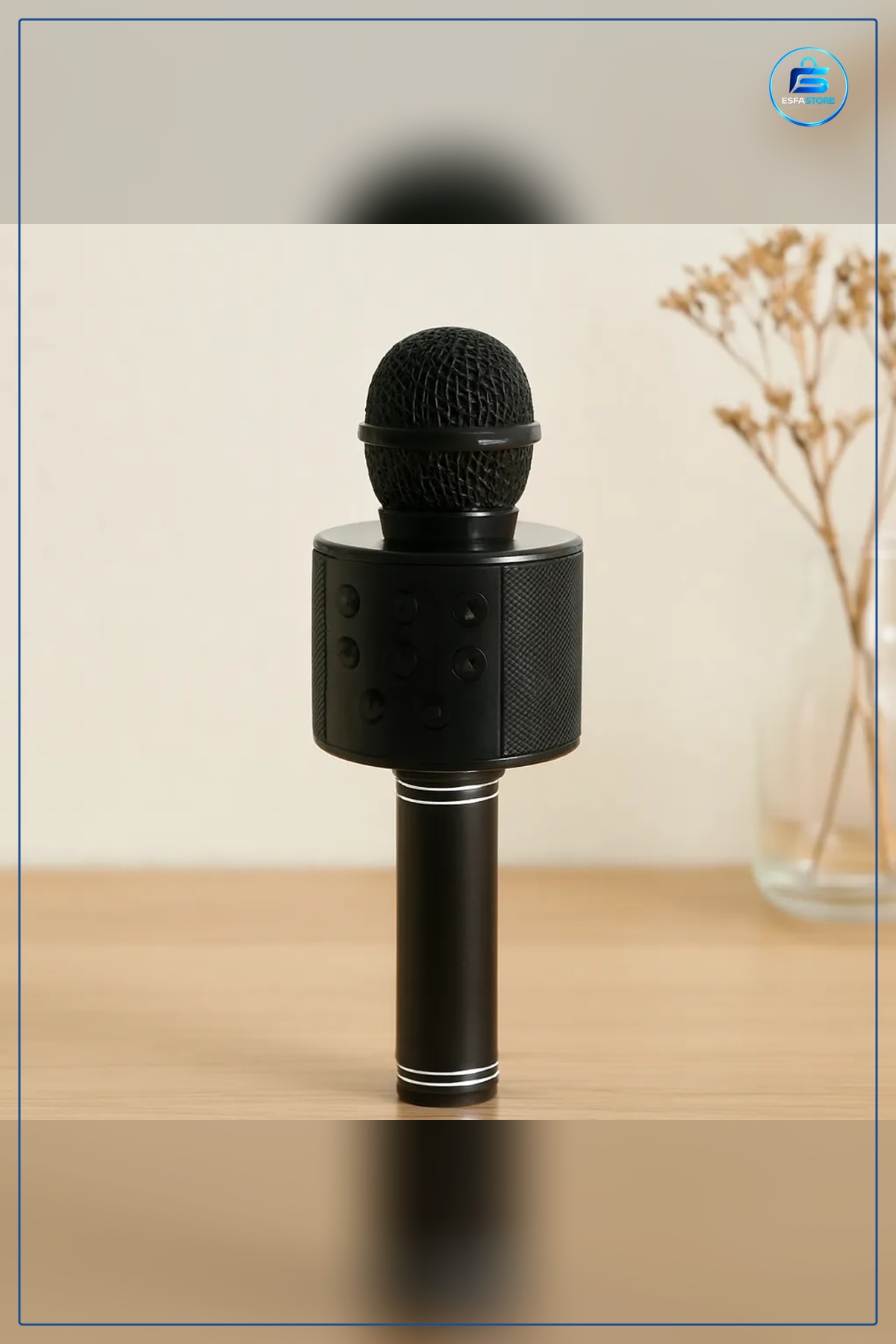 Kablosuz Karaoke Mikrofon Hoparlör 800mAh USB TF AUX Bluetooth Taşınabilir Ev Parti Eğlence