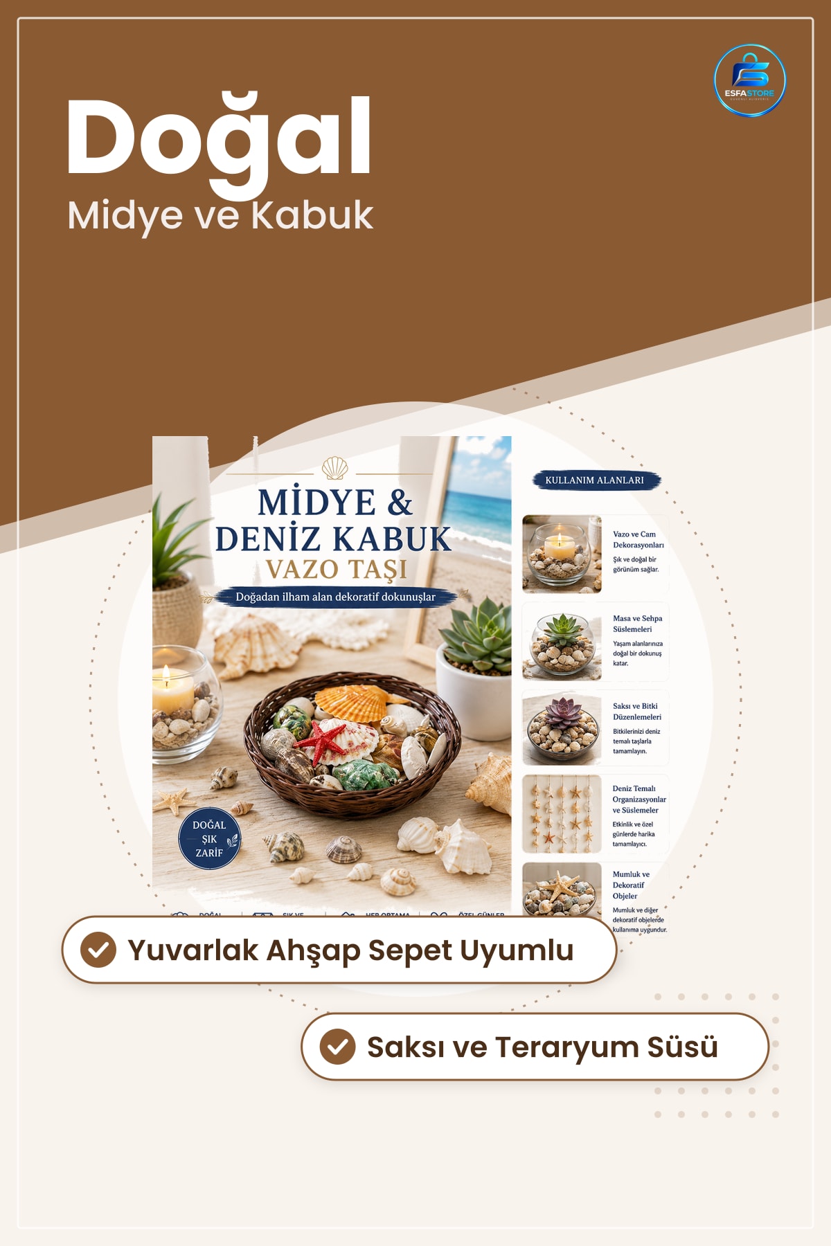 Midye ve Deniz Kabuklu Vazo Taşı Dekoratif Obje Yuvarlak Ahşap Sepet Uyumlu Doğal Saksı Teraryum