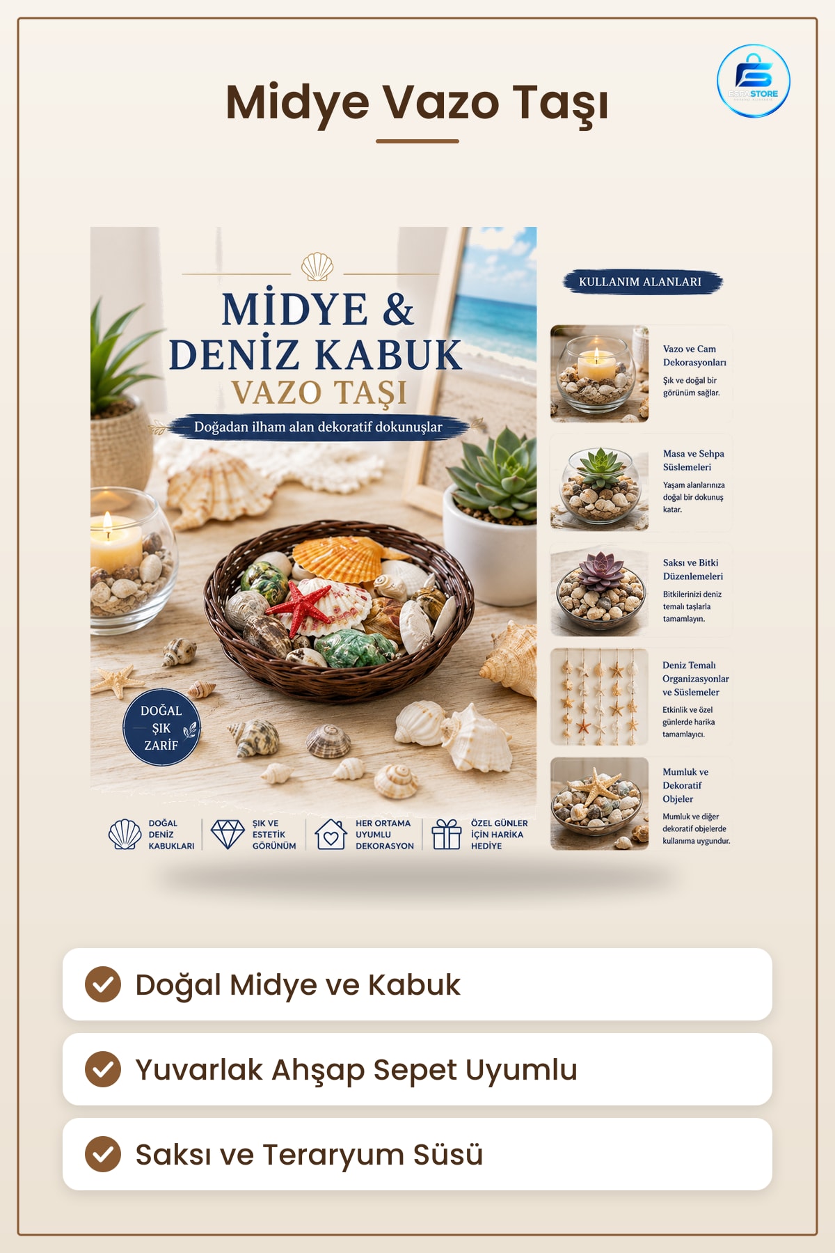 Midye ve Deniz Kabuklu Vazo Taşı Dekoratif Obje Yuvarlak Ahşap Sepet Uyumlu Doğal Saksı Teraryum