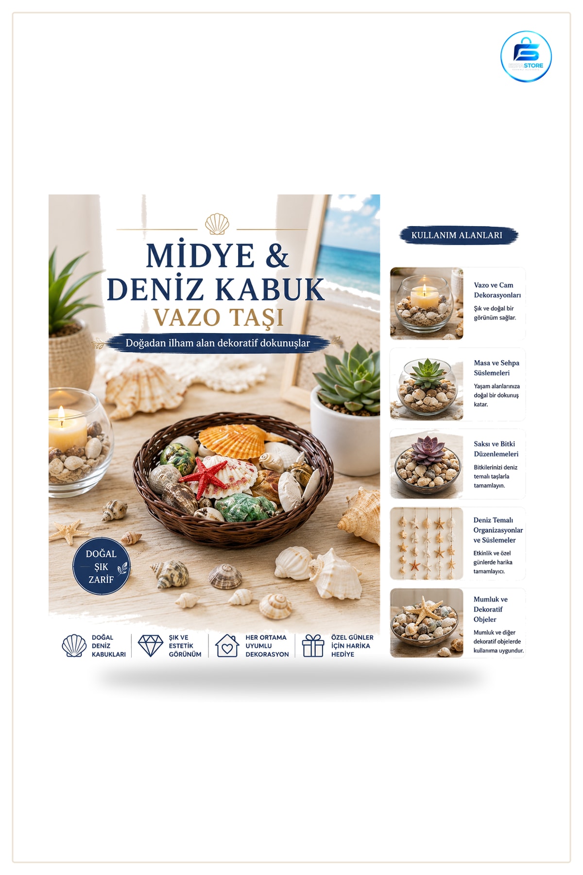 Midye ve Deniz Kabuklu Vazo Taşı Dekoratif Obje Yuvarlak Ahşap Sepet Uyumlu Doğal Saksı Teraryum