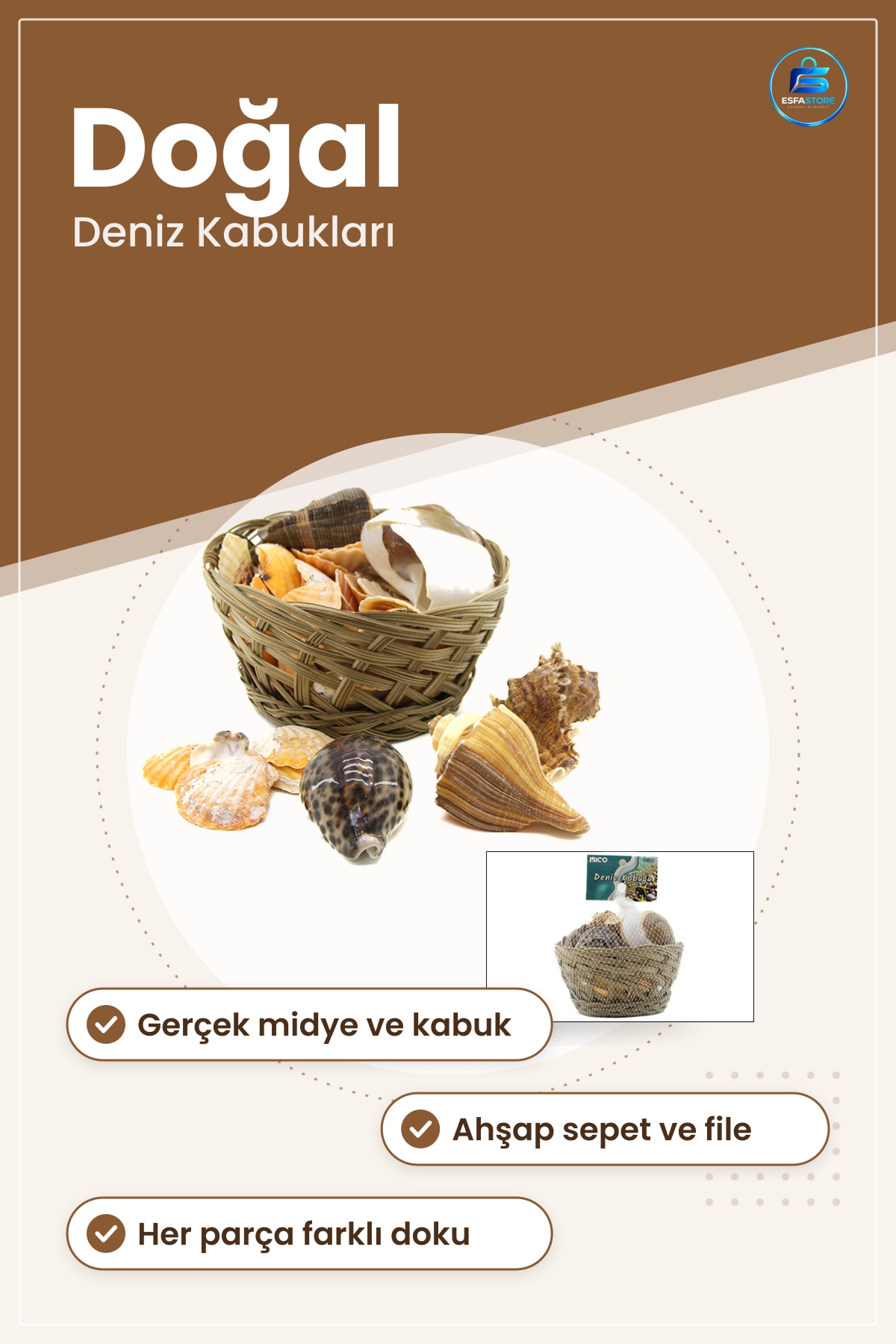 Dekoratif Obje Midye Deniz Kabuğu Vazo Taşı Ahşap Sepetli Doğal Masa Dekor Süsü Vitrin Hediyelik