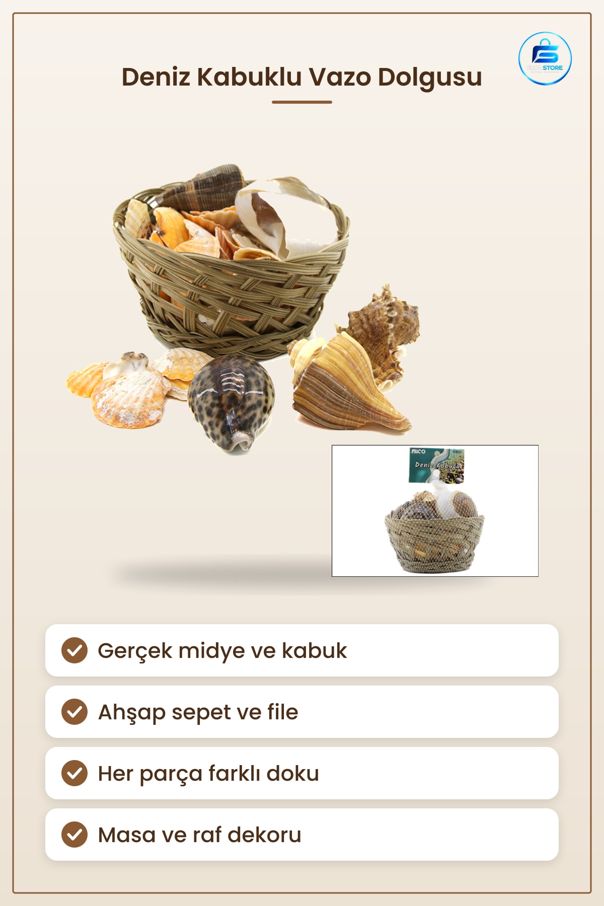 Dekoratif Obje Midye Deniz Kabuğu Vazo Taşı Ahşap Sepetli Doğal Masa Dekor Süsü Vitrin Hediyelik