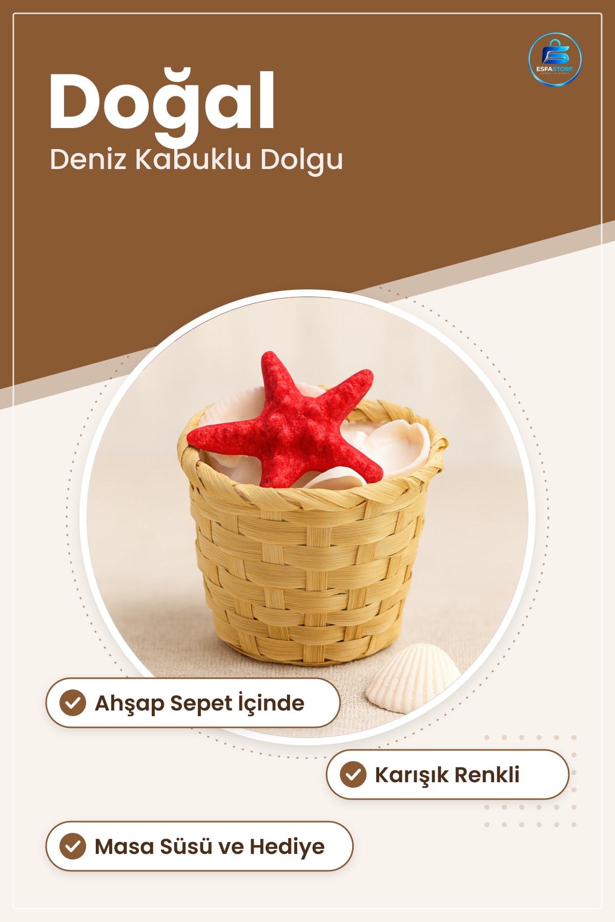 Midye ve Deniz Kabuk Vazo Taşı Ahşap Sepetli Küçük Doğal Dekoratif Dolgu Masa Süsü