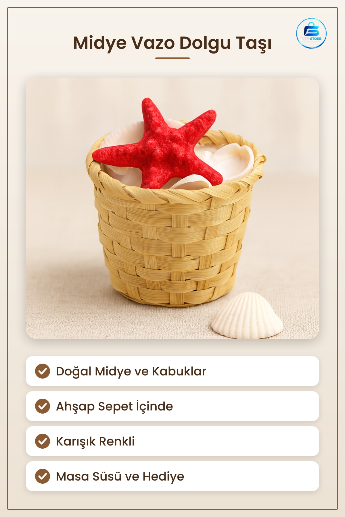 Midye ve Deniz Kabuk Vazo Taşı Ahşap Sepetli Küçük Doğal Dekoratif Dolgu Masa Süsü