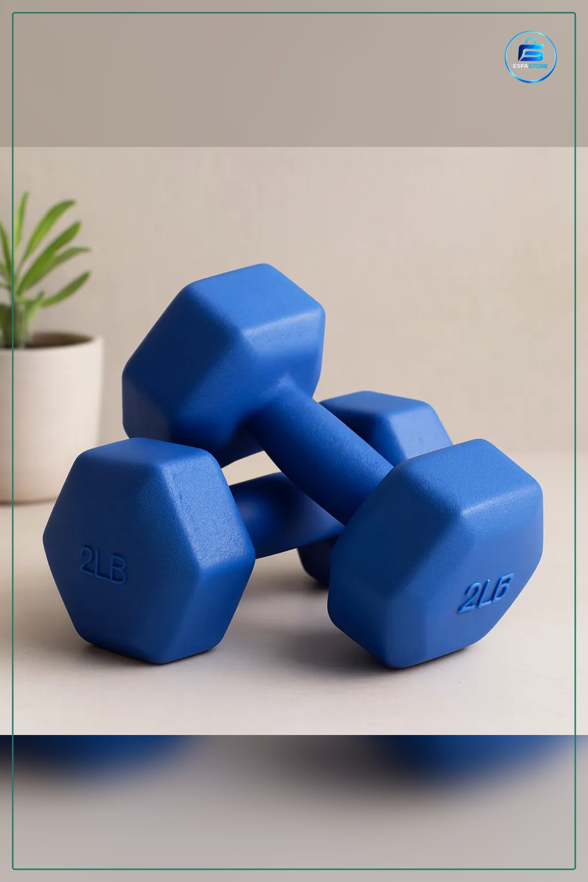 Plastik Köşeli Dambıl Ağırlık Plakası Ev ve Spor Salonu İçin Kuvvet Antrenmanı Fitness Ekipmanı