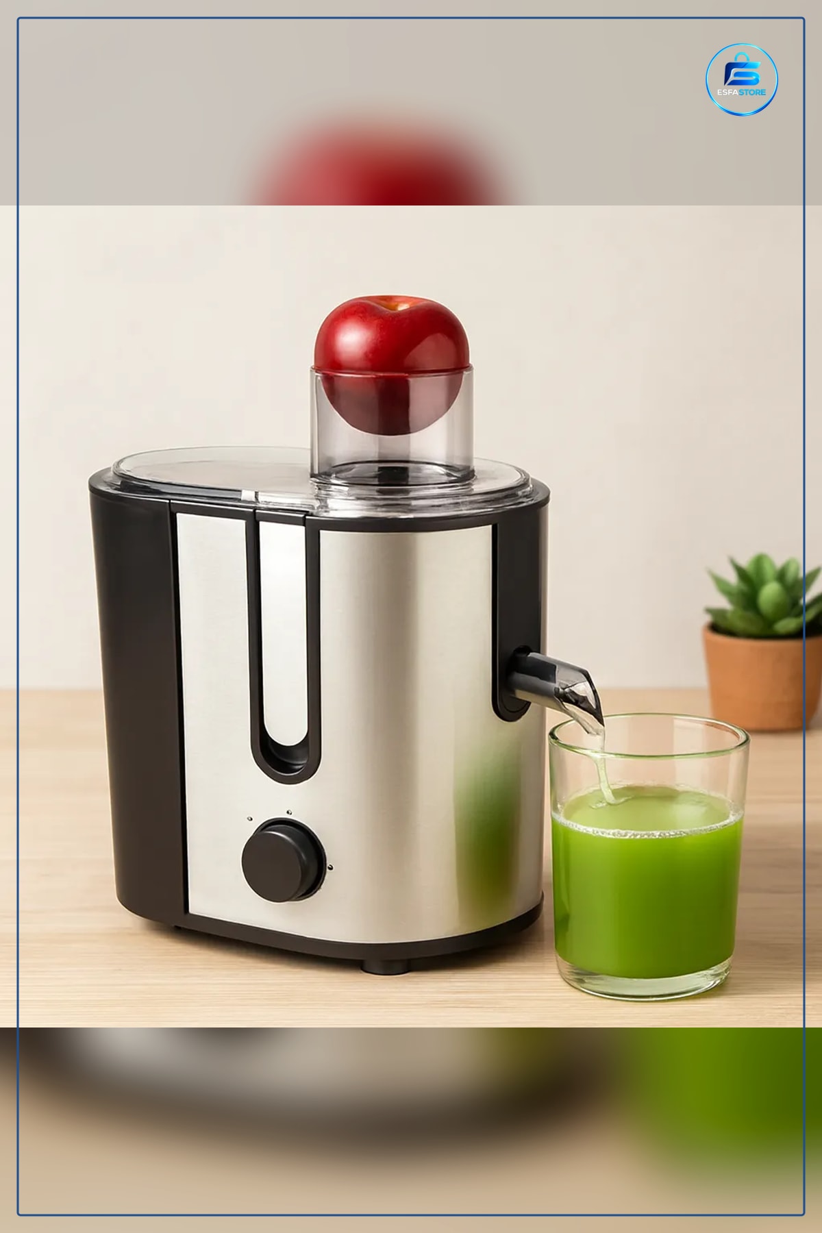 Katı Meyve Sıkacığı 600W 1250ml Posalı 450ml Hazneli Paslanmaz Çelik Filtreli Geniş Tüp Mutfak
