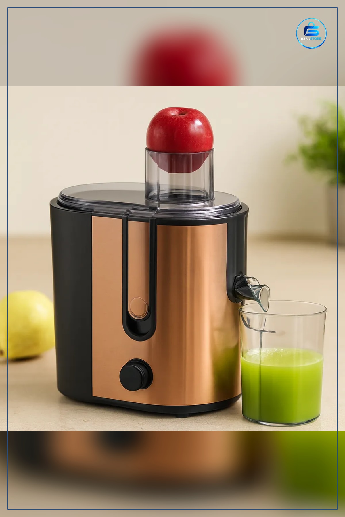 Katı Meyve Sıkacağı 600W 65mm Besleme Çelik Filtre 1250ml Posalı Hazne Sebze Suyu Makinesi Mutfak