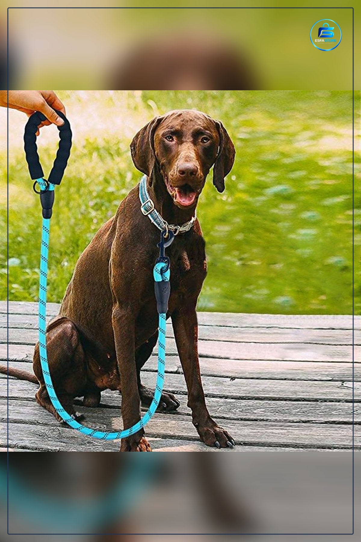 Köpek Gezdirme Halatı Reflektörlü Tasma Kayışı Metal Kancalı Yumuşak Tutamaklı Dayanıklı Pratik
