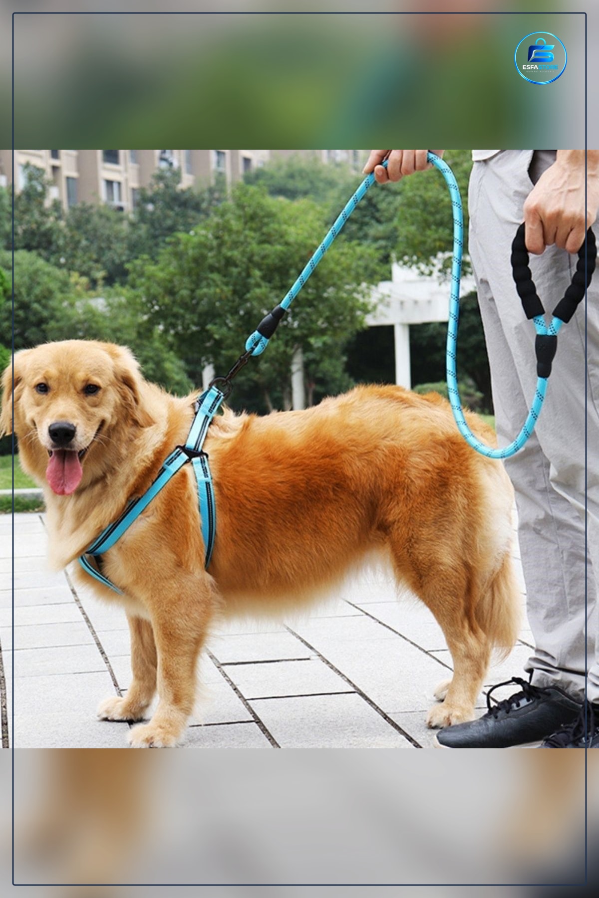 Köpek Gezdirme Halatı Reflektörlü Tasma Kayışı Metal Kancalı Yumuşak Tutamaklı Dayanıklı Pratik