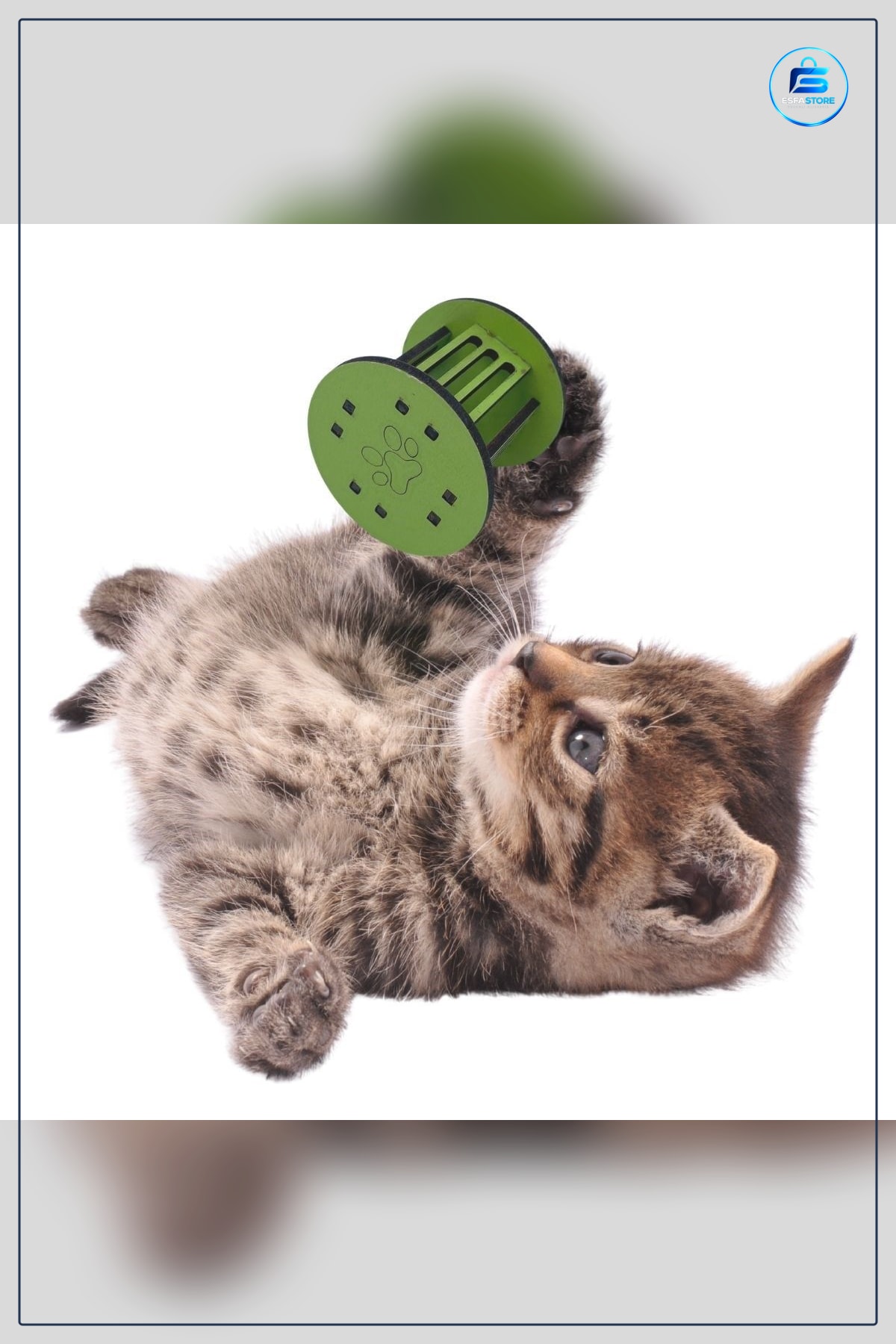 Kedi Oyuncağı Mini Silindir Pati İzi Şekilli Eğitici Sağlam Kırılmaz Sesli Hediyelik Pratik
