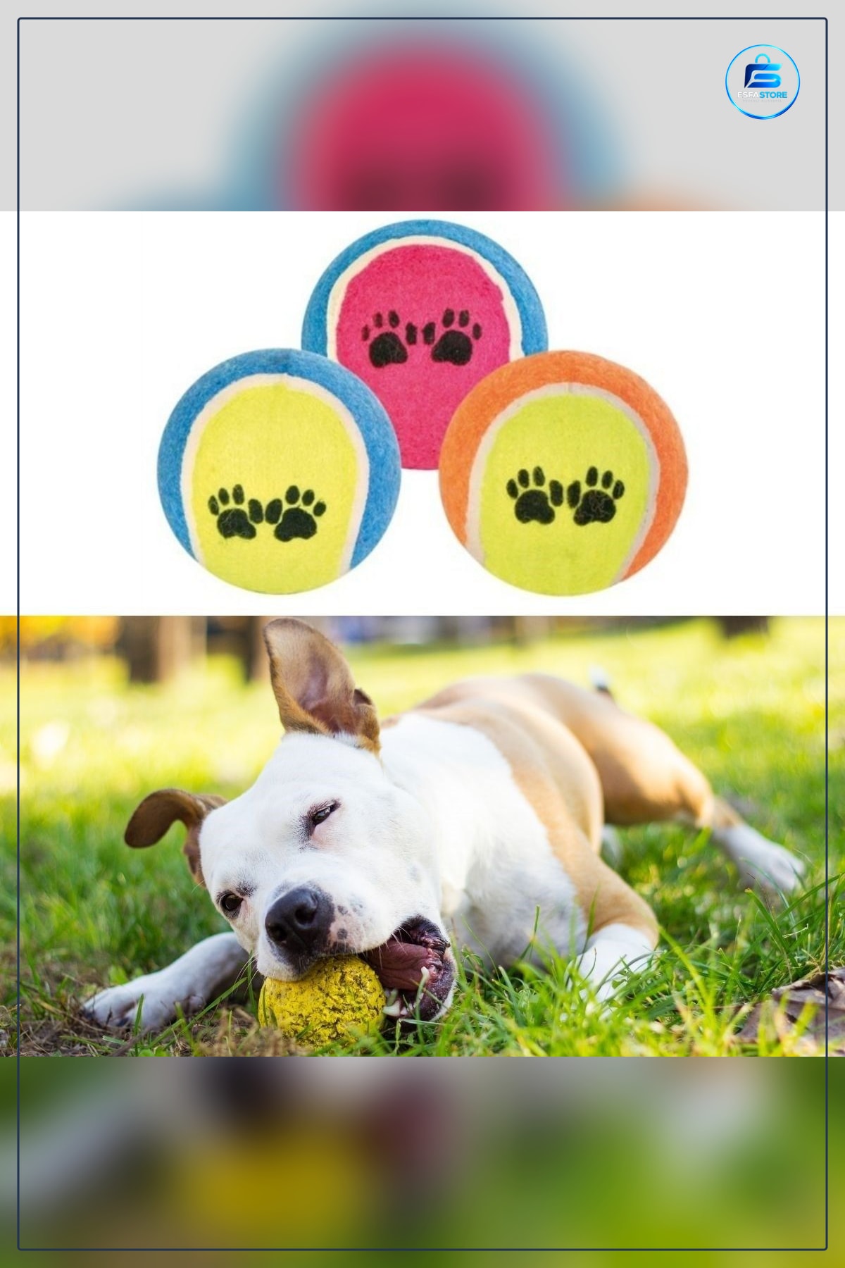 Kedi Köpek Oyuncağı Pati Desenli Tenis Topu Kullanışlı Dayanıklı Hediyelik Evcil Hayvan Oyun Pratik