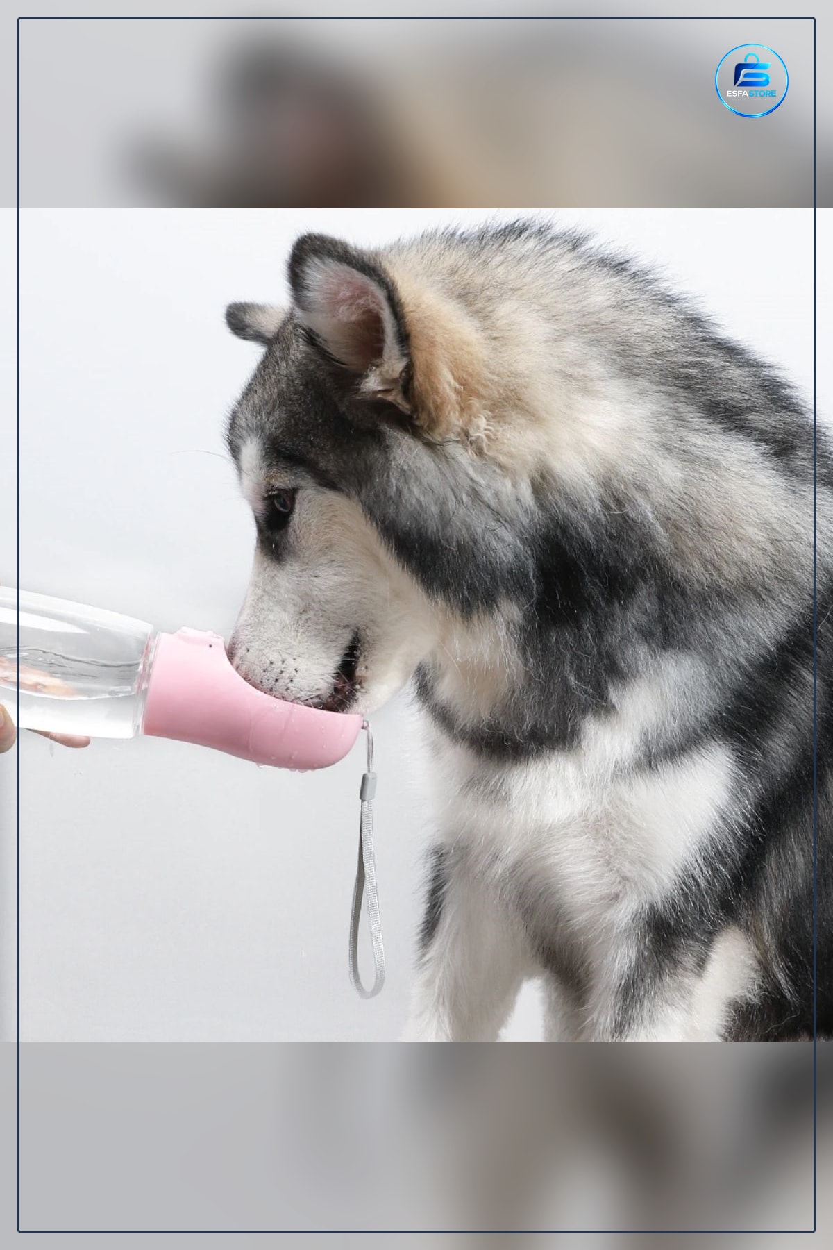 Evcil Hayvan Suluğu Taşınabilir Seyahat Kabı Kilitlenebilen Su Sızdırmaz Kap Köpek Yürüyüş Pratik