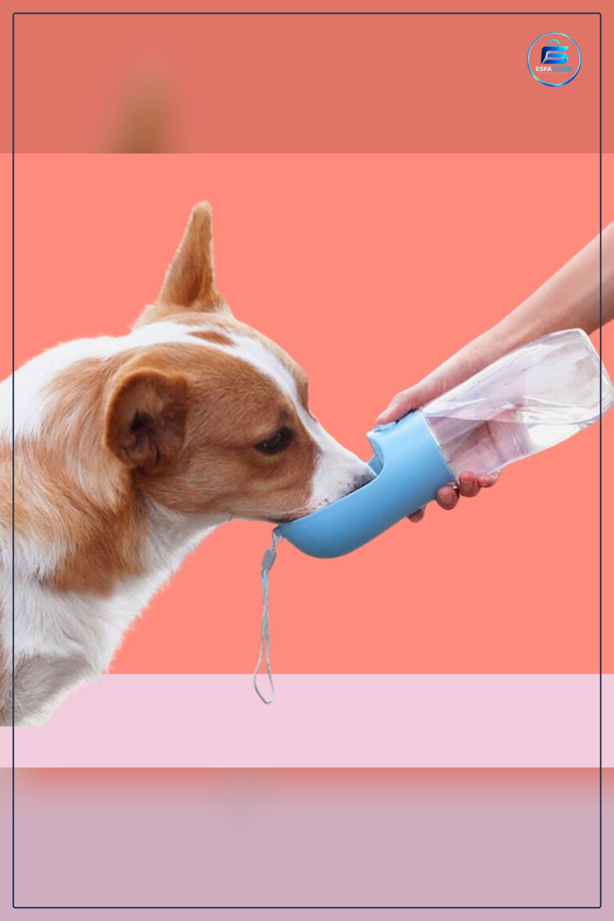Taşınabilir Butonlu Evcil Hayvan Suluu Seyahat Kullanımı İçin Sert Plastik Dayanıklı Pratik