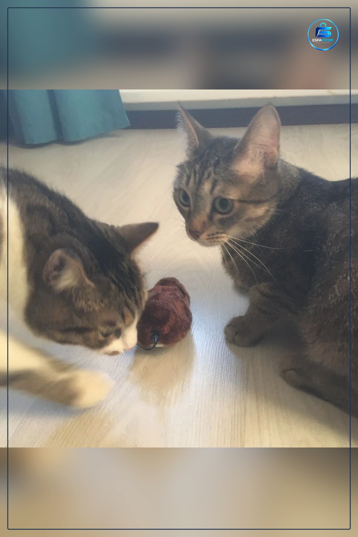 Kurmalı Kedi Eğitim Oyuncağı Tüylü Peluş Fare Yakalama İnteraktif Sevimli Eğlenceli Hayvan Dostu