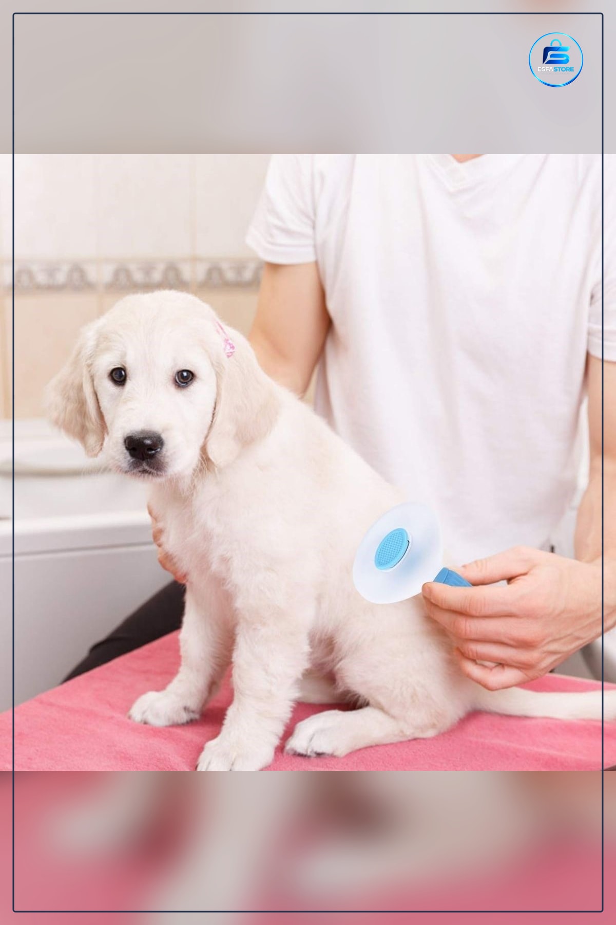 Evcil Hayvan Tarağı Kedi Köpek Tüy Toplayıcı Kendini Temizleyebilen Ergonomik Saplı Mavi