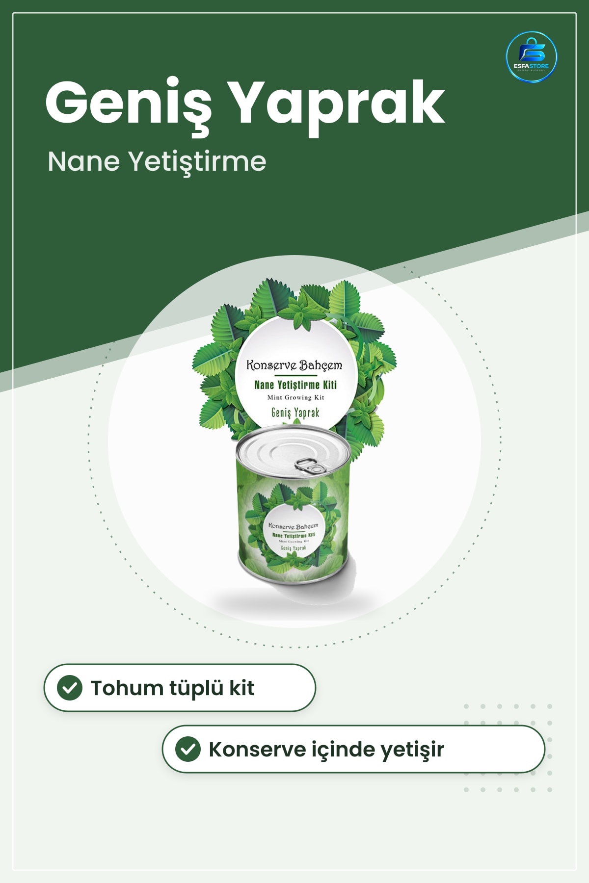 Nane Yetiştirme Kiti Geniş Yapraklı Evde Konservede Tohumlu Ekim Seti Kendi Bahçeniz