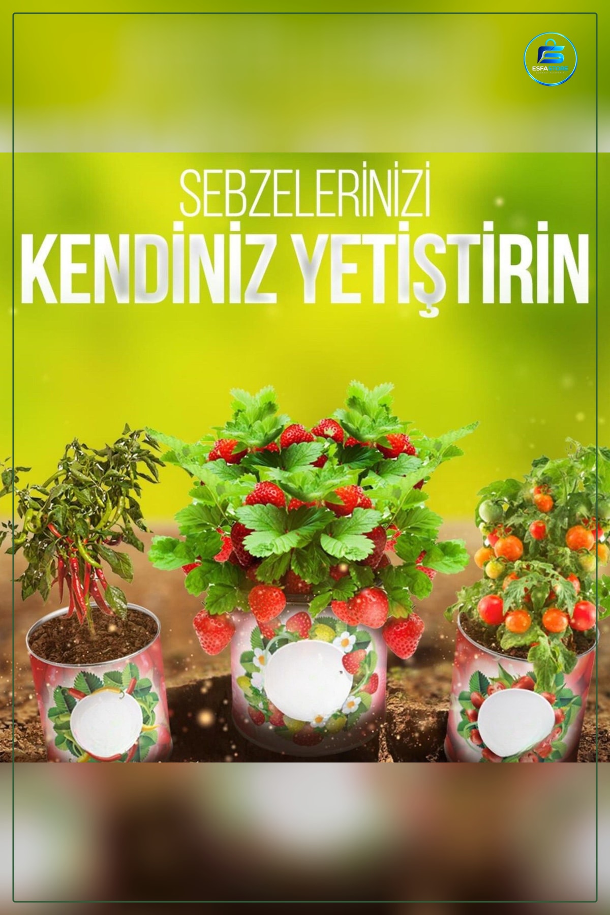 Konserve Kutuda Fındık Turp Yetiştirme Kiti Kırmızı Evde Kolay Bahçe Büyütme Seti