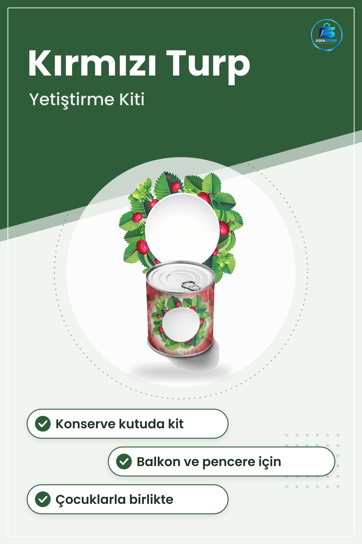 Konserve Kutuda Fındık Turp Yetiştirme Kiti Kırmızı Evde Kolay Bahçe Büyütme Seti