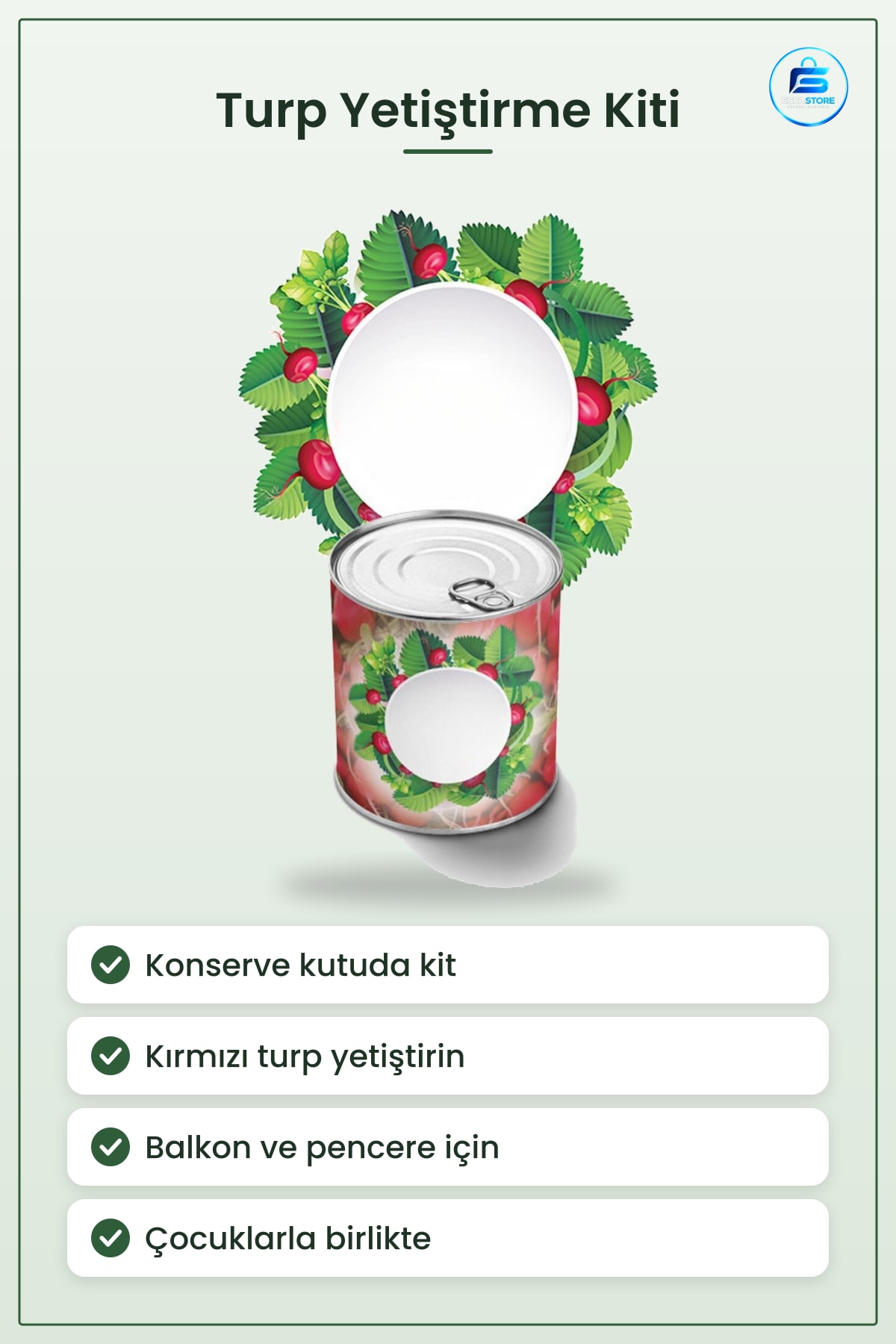 Konserve Kutuda Fındık Turp Yetiştirme Kiti Kırmızı Evde Kolay Bahçe Büyütme Seti