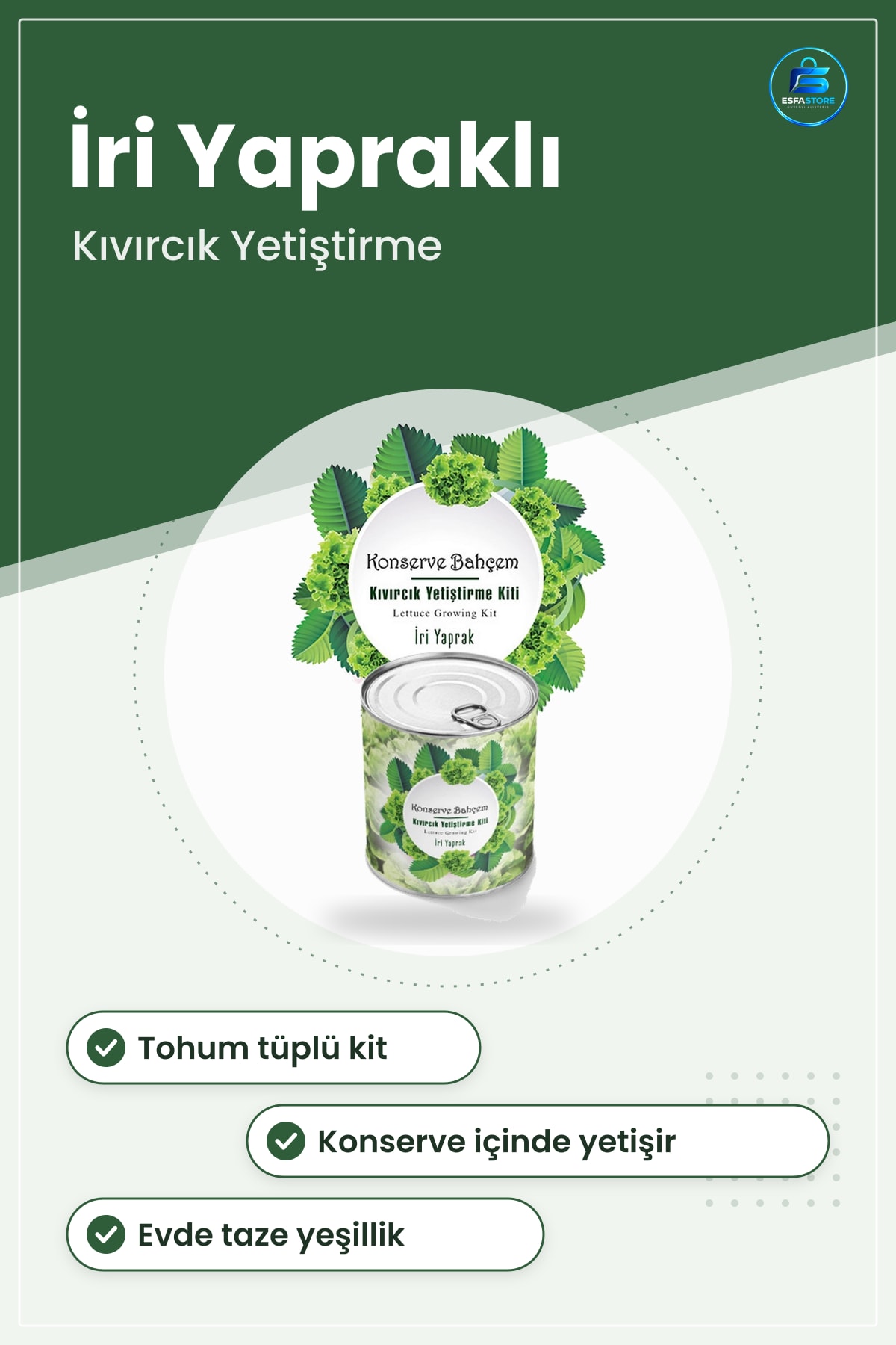 Konservede Kıvırcık Yetiştirme Kiti İri Yapraklı Tohum Tüplü Evde Bitki Büyütme Seti