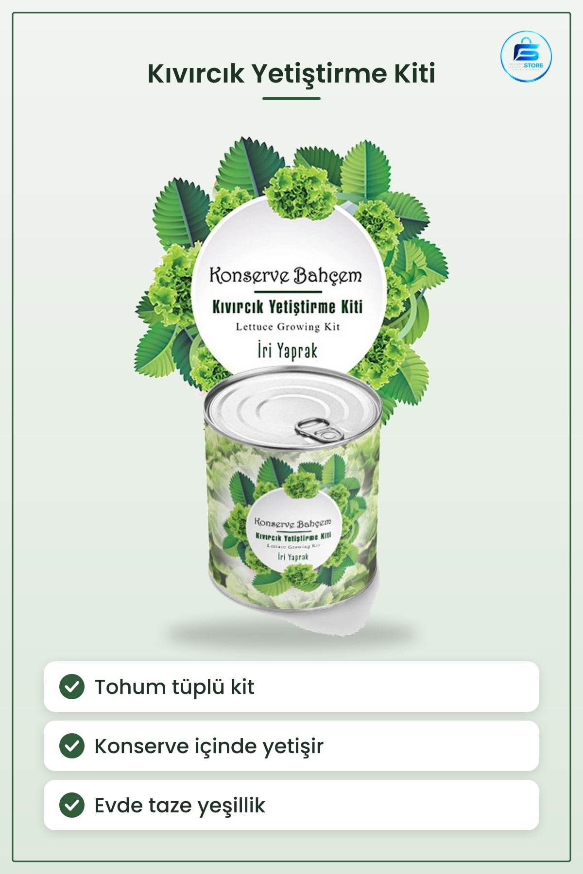 Konservede Kıvırcık Yetiştirme Kiti İri Yapraklı Tohum Tüplü Evde Bitki Büyütme Seti