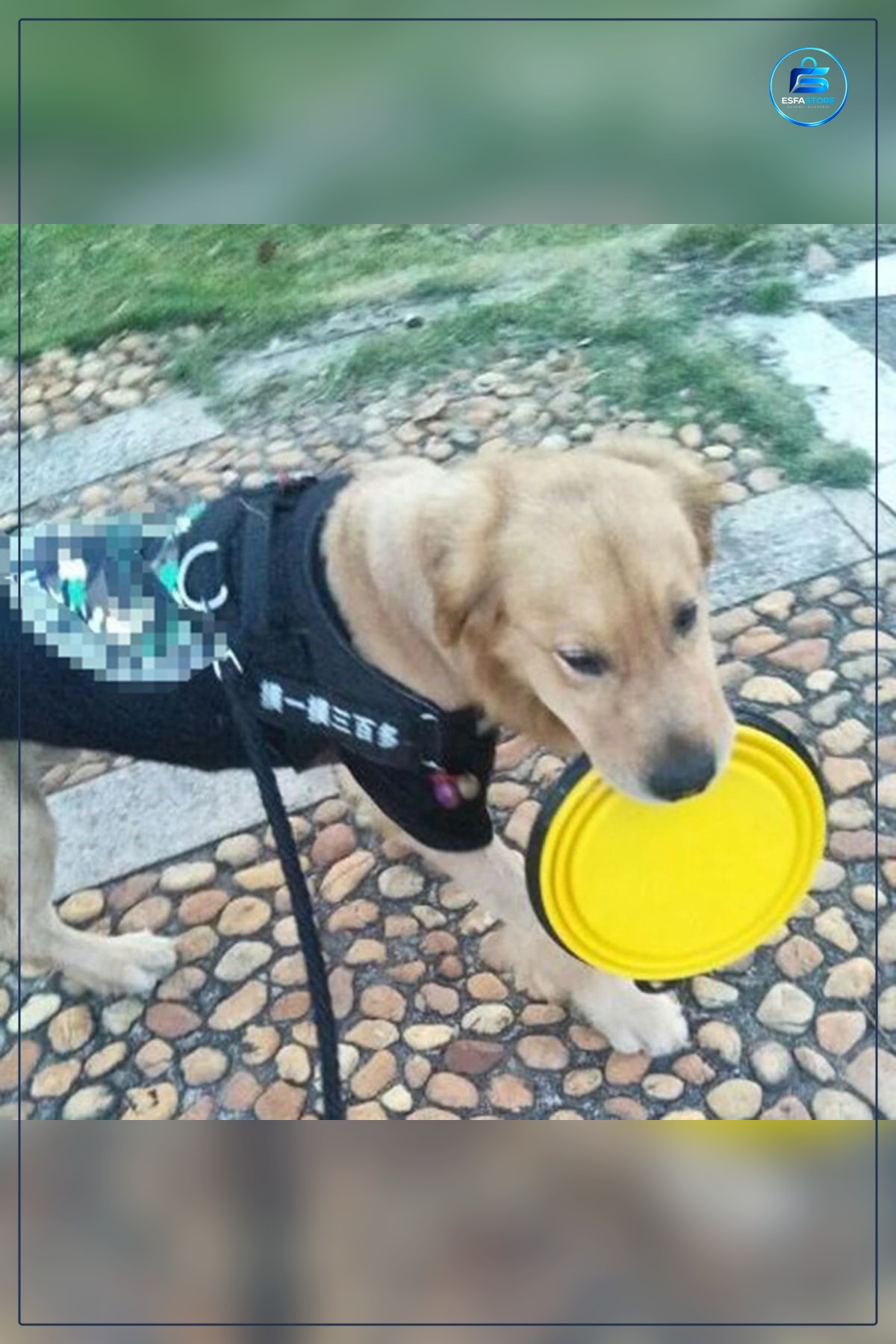 Katlanabilir Silikon Kedi Köpek Mama ve Su Kabı Çap 13 cm Yükseklik 9 Kancalı Seyahat Kasesi