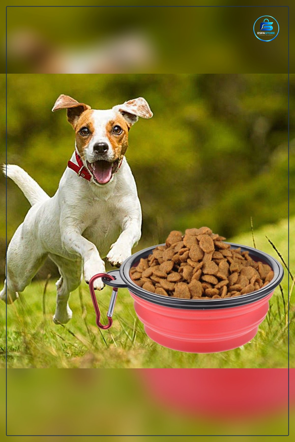 Katlanabilir Kedi Köpek Mama ve Su Kabı Silikon Kancalı Çap 13 cm Taşınabilir Pratik