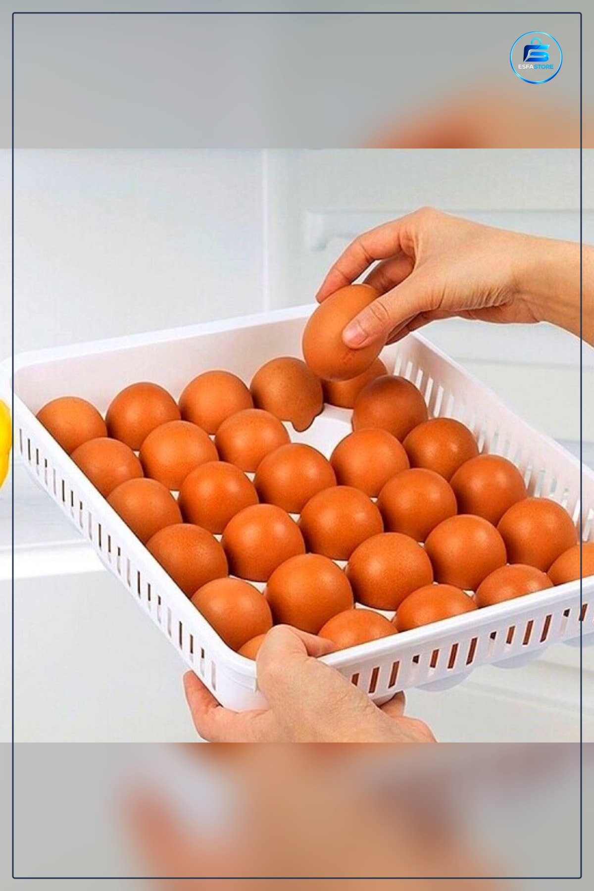 Kilitli Kapaklı Yumurta Saklama Kabı Buzdolabı Düzenleyici Çevre Dostu Malzeme Pratik Mutfak