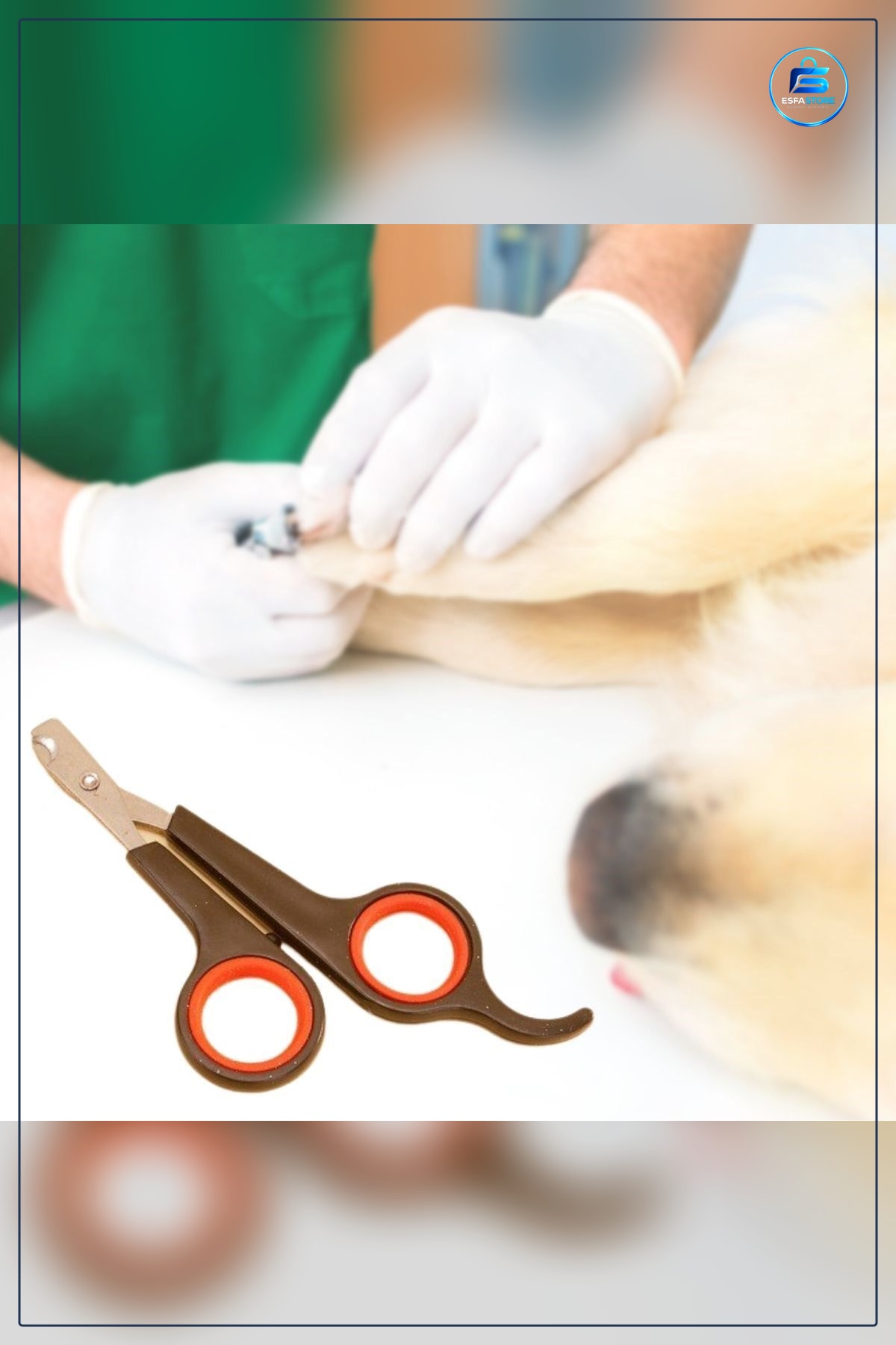 Kedi Köpek Tırnak Makası Çelik Uçlu Evcil Hayvan Pati Bakım Aleti Ergonomik Kaymaz Sap Pratik